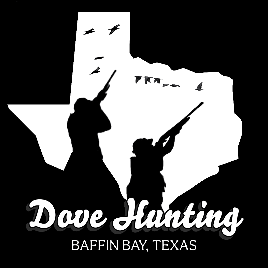 Dove Hunting